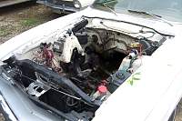 DCP_7787.jpg
