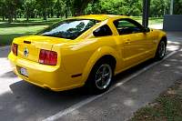 DCP_8433.jpg